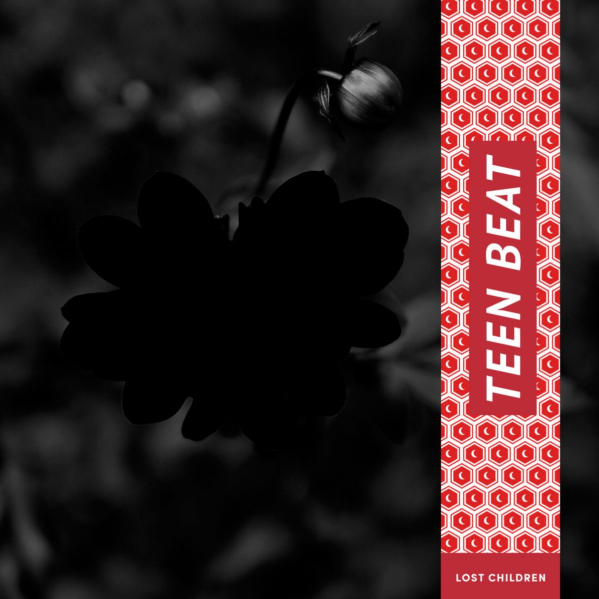 Lost Children — Teen Beat